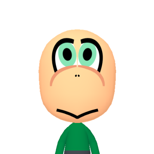 Koopa Mii character: Don't tell one of these minions to come out of its shell (unless you plan to throw its shell right back at it). These members of Bowser's Koopa Troop wear their homes—and their weapons—on their backs. You can usually find them marching through the Mushroom Kingdom and looking for trouble.