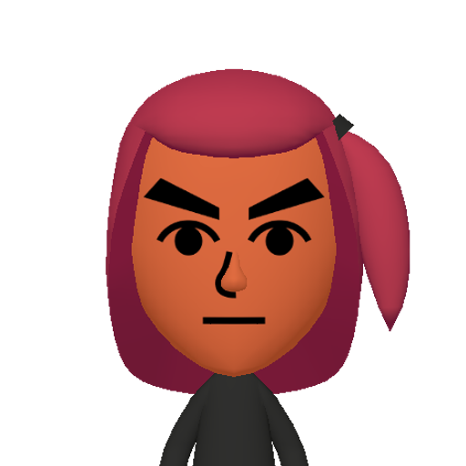 no name Mii character: This Mii is from the Switch SDK as a SampleDB Mii.