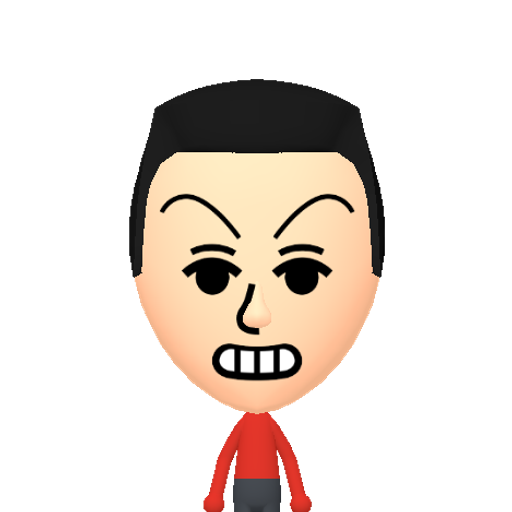 no name Mii character: This Mii is from the Switch SDK as a .charinfo test.