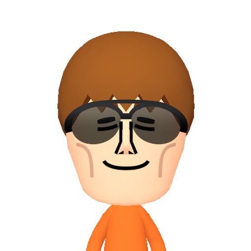 dummy054 Mii character: This Mii is from the Switch SDK as a .charinfo test.