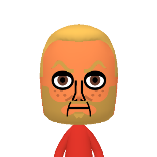 no name Mii character: This Mii is from the Switch SDK as a SampleDB Mii.