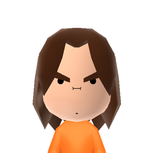 Arin Grump Mii character: The character used in Arin's intro of his show "Game Grumps." Arin is known as Egoraptor, a YouTube star who plays video games and does animations.