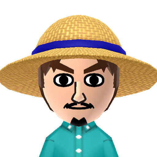Barrysun Mii character preview