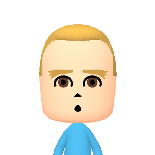 ijklmnopqr Mii character: This Mii is from the Switch SDK as a SampleDB Mii.