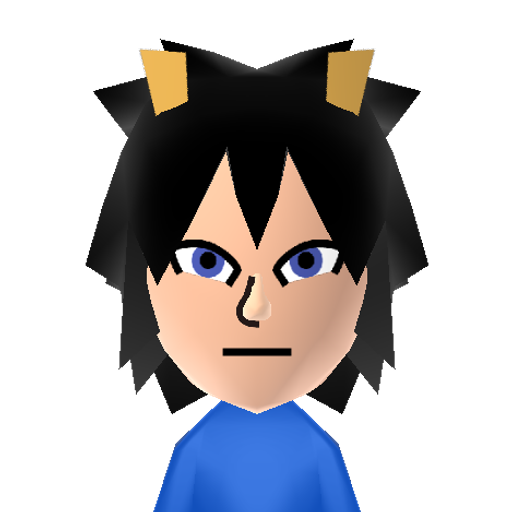Yusei Fudo Mii character: From the anime series Yu-Gi-Oh! 5D's.