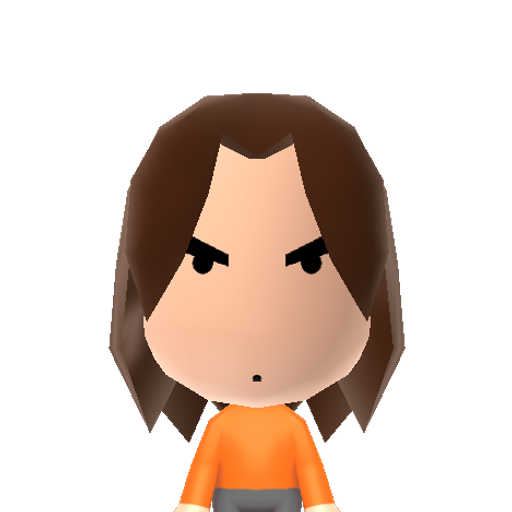 Arin Grump Mii character: Arin from the youtube series "Game Grumps", also known as Egoraptor.