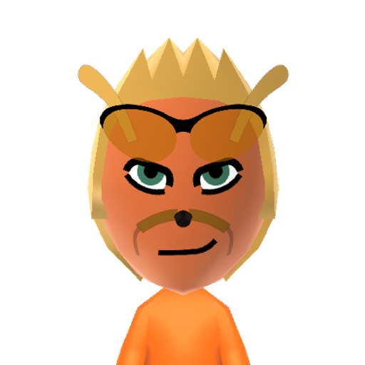 Ty Mii character: Boomerang throwing hero from "Ty the Tasmanian Tiger" game series.