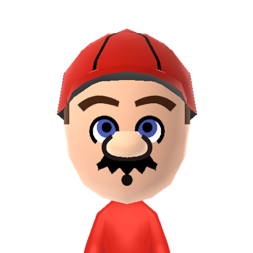 Mario Mii character: A short, fat, Italian plumber who rescues princesses in Nintendo games.
