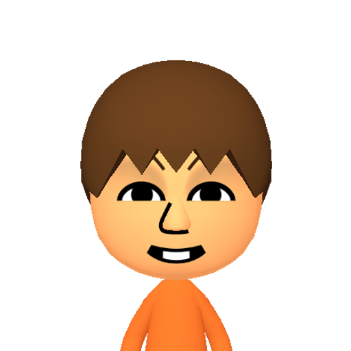 no name Mii character: This Mii is from the Switch SDK as a SampleDB Mii.