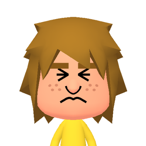 dummy026 Mii character: This Mii is from the Switch SDK as a .charinfo test.