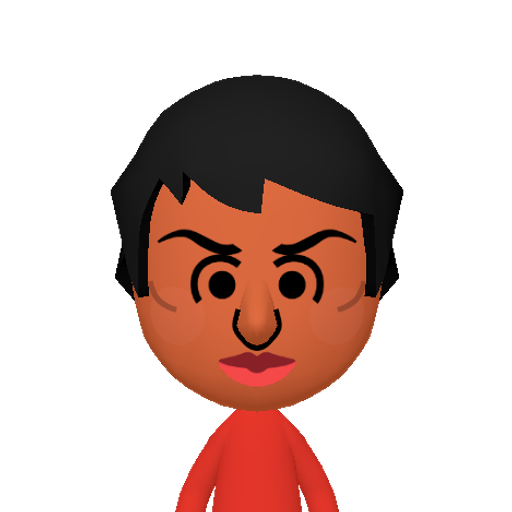 dummy006 Mii character: This Mii is from the Switch SDK as a .charinfo test.