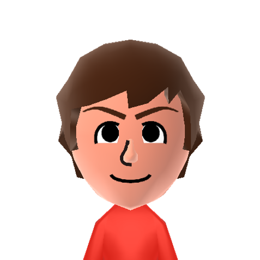 Koichi K. Mii character: He worked at the Nintendo Software and Development Department.