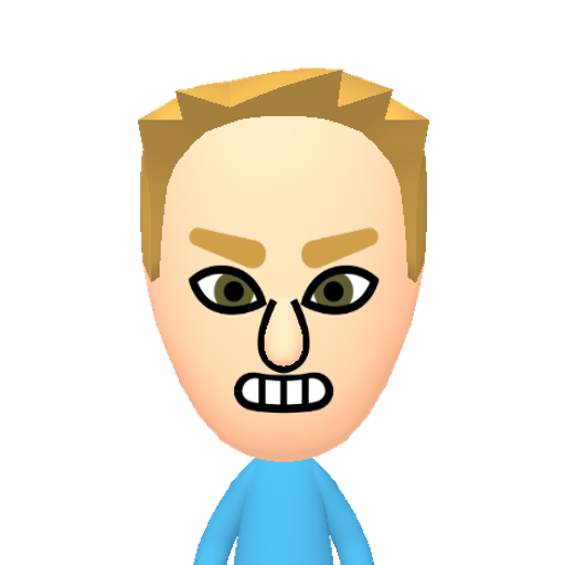 dummy093 Mii character: This Mii is from the Switch SDK as a .charinfo test.