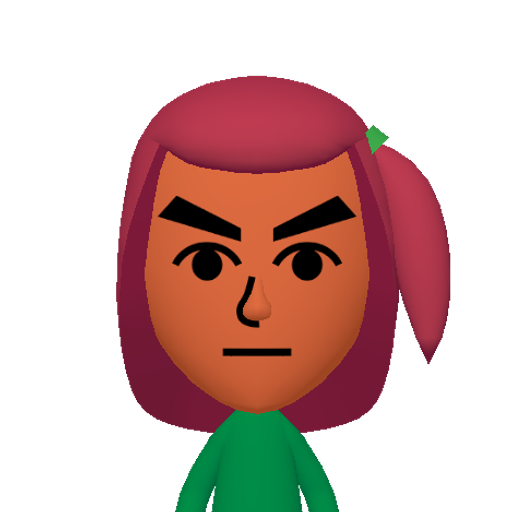 no name Mii character: This Mii is from the Switch SDK as a SampleDB Mii.