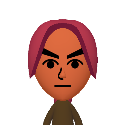 no name Mii character: This Mii is from the Switch SDK as a SampleDB Mii.
