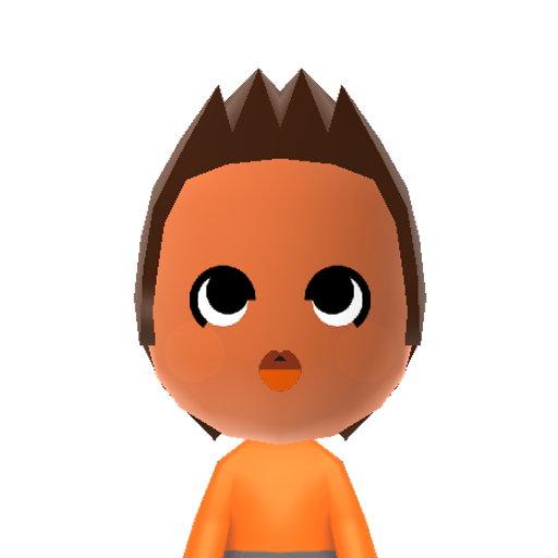 Torchic Mii character: These are extracted and derived from the Mii Central Miis from the 3DS Miitopia.