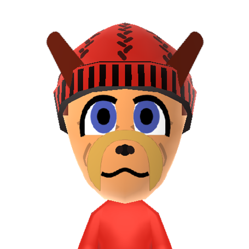 Rush Mii character: From "Mega Man" games. This is a robotic dog created by Dr. Light and Dr. Wily. The pup was made to be an all round support unit and has the ability to transform into various forms.