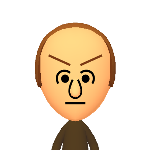 dummy080 Mii character: This Mii is from the Switch SDK as a .charinfo test.