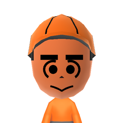 Josh Mii character: A Mii from You Play Motion, a mod for Wii Play Motion.