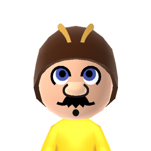 Bee Mario Mii character: Mario after he touches a bee mushroom in Mario Galaxy.