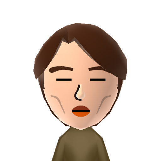 Ryutaro T. Mii character: He worked at the Nintendo Planning and Development Department.