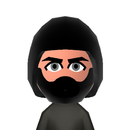 NinjaBrian Mii character: One of the two members of band Ninja Sex Party, the other member being Danny Sexbang. He is also a member of the band Starbomb.