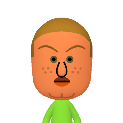 dummy112 Mii character: This Mii is from the Switch SDK as a .charinfo test.
