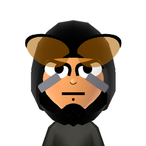 Bass Mii character: The rival of Mega Man in the "Mega Man" games, created by Dr. Wily.