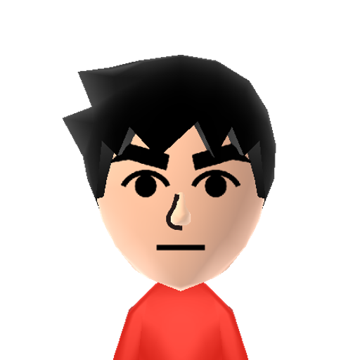 Fighter Mii character: One of the three different types of Mii Fighters from Super Smash Bros 4.
