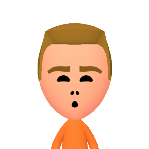 dummy000 Mii character: This Mii is from the Switch SDK as a .charinfo test.