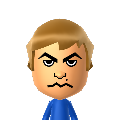 Nin★TARO Mii