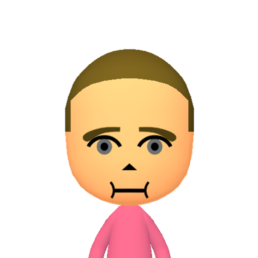 稷稻窯窮箭箱範箴篆篇 Mii character: This Mii is from the Switch SDK as a SampleDB Mii.