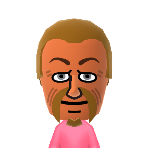 Npc_TamourH Mii character: Breath of the Wild uses an extended Mii format, commonly referred to as a UMii. This is a Mii extracted in UMii format, with a scripted conversion to CHARINFO (a more normalized Mii format).