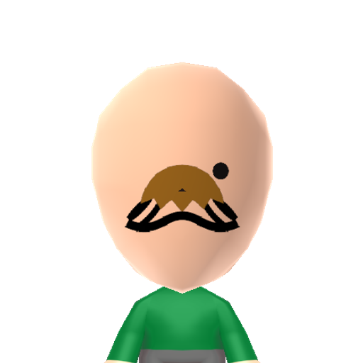 Turtle Mii character preview