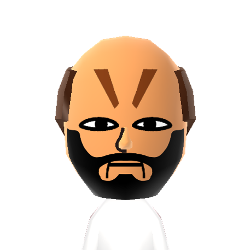 TERRENS Mii character: This is a Mii uploaded for the 3DS version and distributed by Mii Central for both the 3DS and Switch versions of Miitopia.