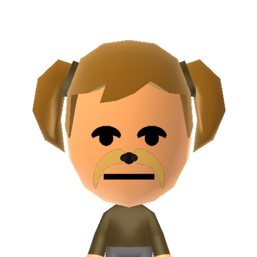 Pomeranian Mii character: A breed of dog. Small, and classified as a toy dog breed.