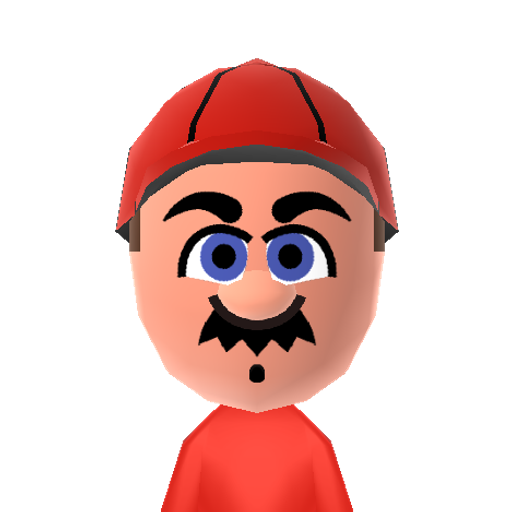 Mario Mii character: The hero from many, many Mario games.