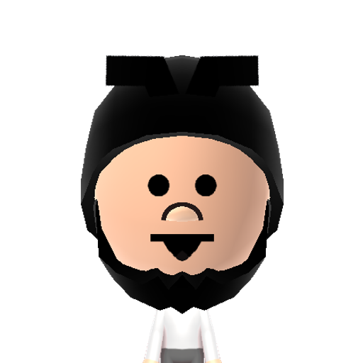 face raidr Mii character: The logo character for the Nintendo 3DS game Race Raiders