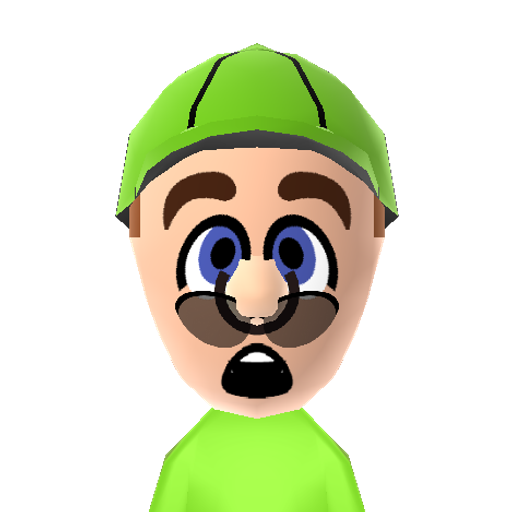 Luigi Mii character: Brother of Mario from Mario games. Also a ghost catcher, fighter, and racer.