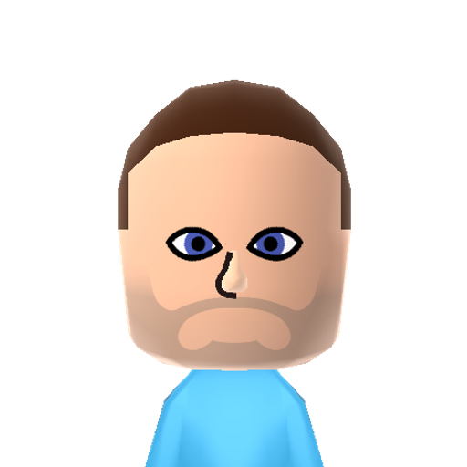 Steve Mii character: The survivor you start as in "Minecraft".