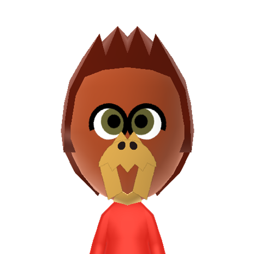 Kazooie Mii character: A character from the "Banjo-Kazooie" game series.