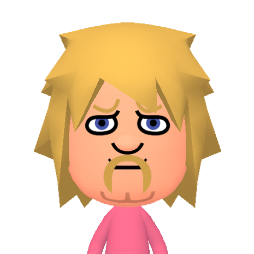 no name Mii character: This Mii is from the Switch SDK as a SampleDB Mii.