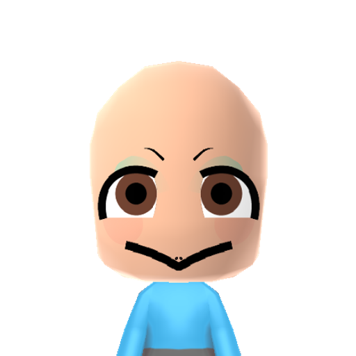 Squirtle Mii character preview