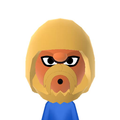 Fox Mii character: Main character from Star Fox. He first appeared on Star Fox for the SNES.
