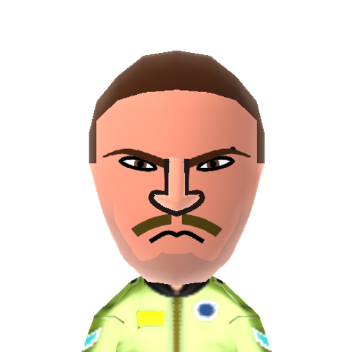Niko Mii character: Main character from the game "Grand Theft Auto IV".