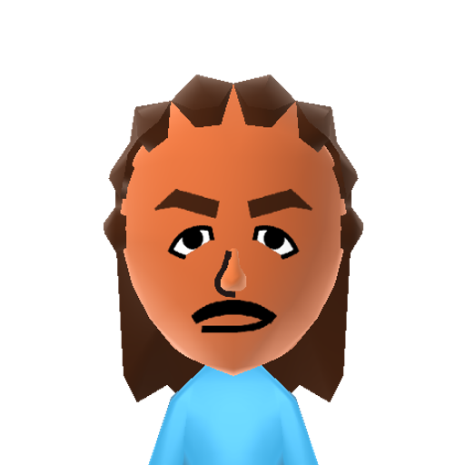 Roberto Mii character: He works at the "Mr. Recycle" store in "Nintendogs + Cats" for 3DS.