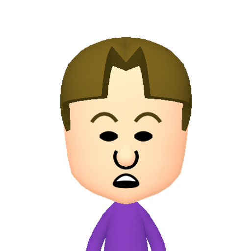 no name Mii character: This Mii is from the Switch SDK as a SampleDB Mii.