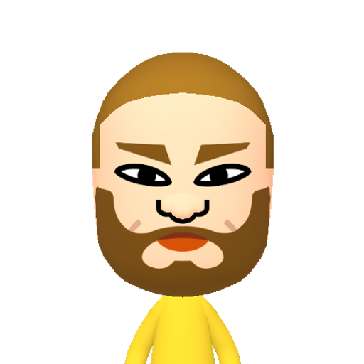 dummy076 Mii character: This Mii is from the Switch SDK as a .charinfo test.