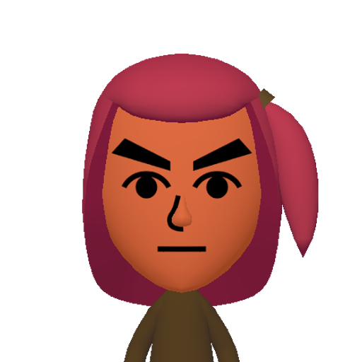 no name Mii character: This Mii is from the Switch SDK as a SampleDB Mii.