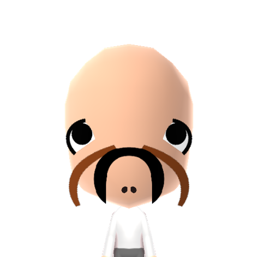 Catfish Mii character: A fish with whiskers like a cat. It lives at the bottom of the lake.